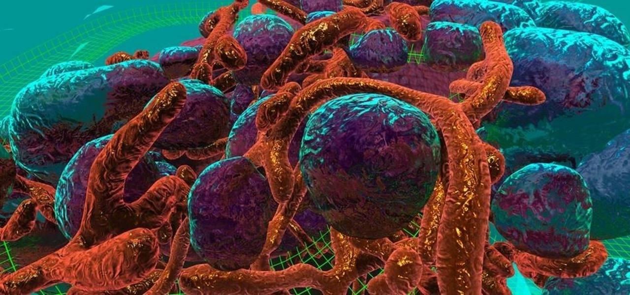 治愈癌症还有多远？科学家成功标记肿瘤干细胞，锁定“癌症之源”