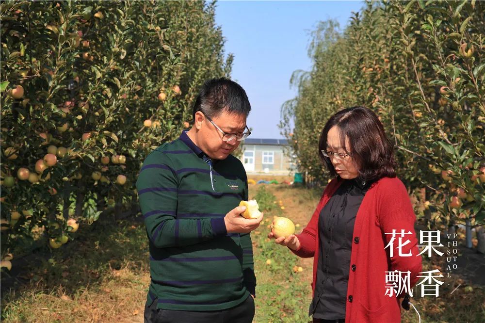 一箱鲜橙多利润,一箱水果利润多少