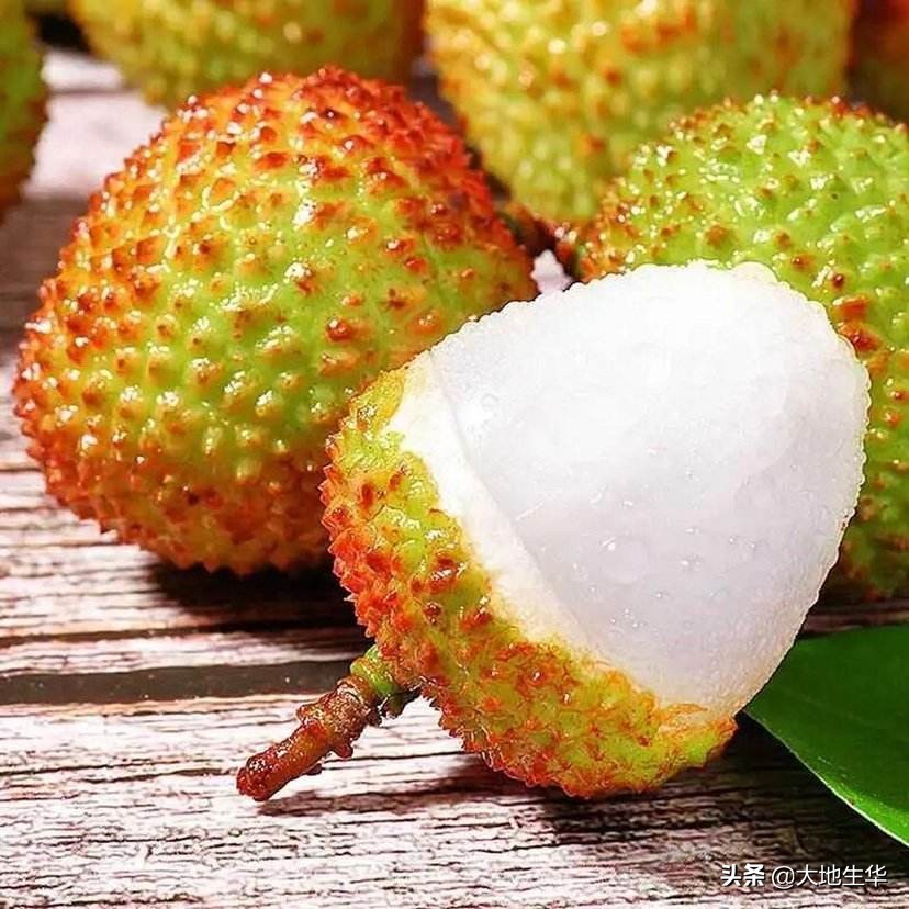 一骑红尘妃子笑，无人知是荔枝来，做不了杨贵妃，也要会背这些诗