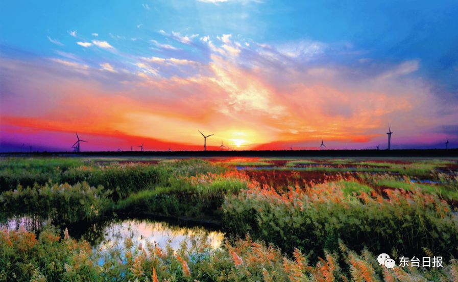 东台生态环境,东台宜居城市
