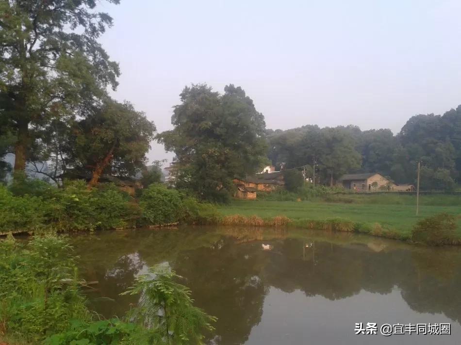 这些失传已久的童谣你还记得吗,这些即将消失的老行当你还记得吗