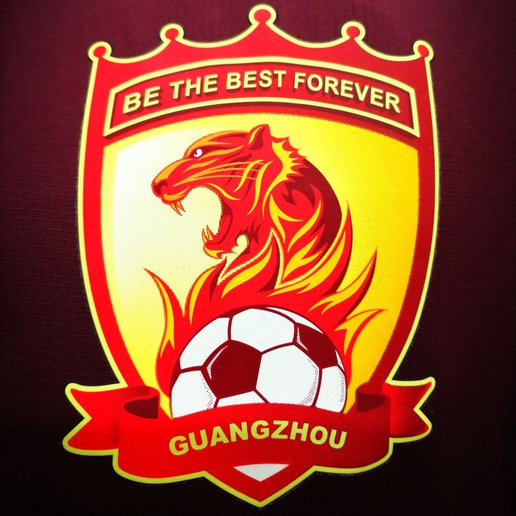 津门虎泰达队徽,津门虎新外援海报