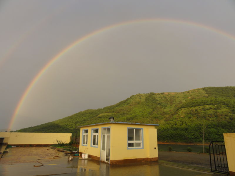 坚持艾灸3年的真实感受,艾灸治腰疼真的有效吗