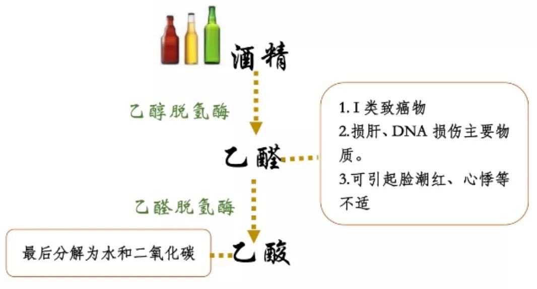 喝白酒解酒神药有哪些,药店能买到的解酒神药