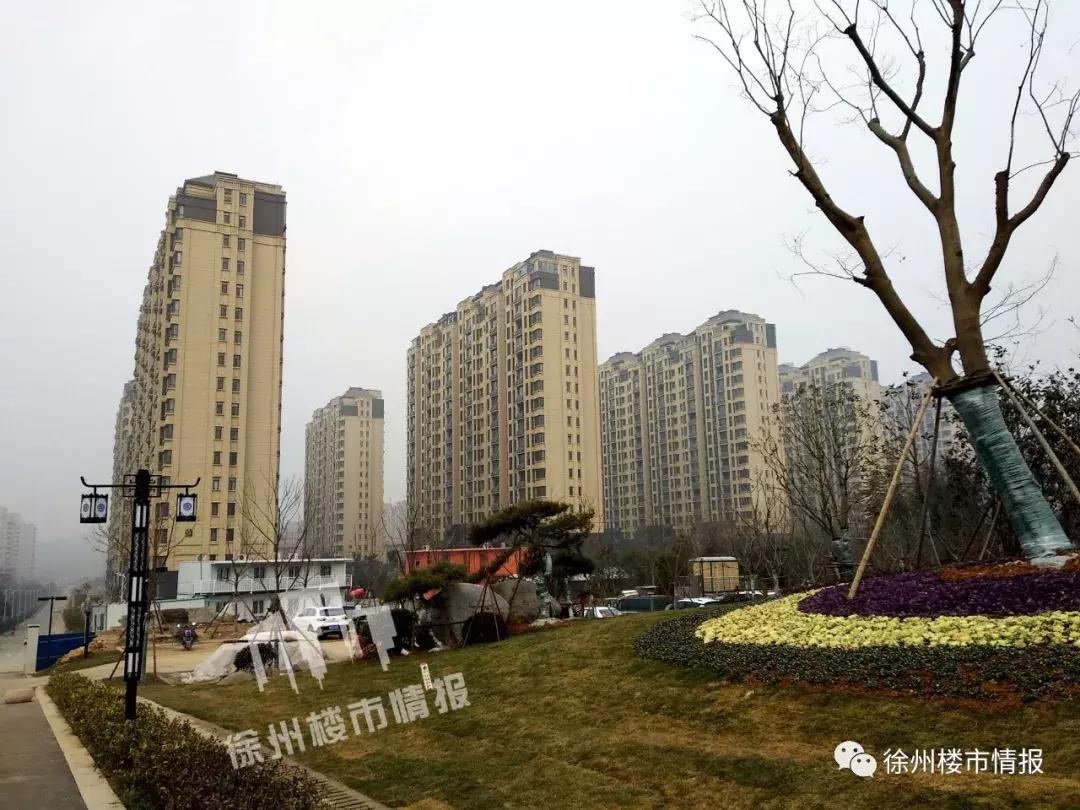 徐州森林公园,徐州森林公园开放时间最新