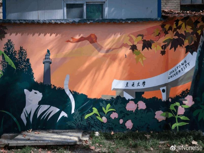 一墙一风景赶紧收藏起来吧,一墙一风景