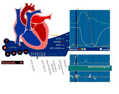 医生！我体检出了窦性心律！先别慌，它不是病！#清风计划#