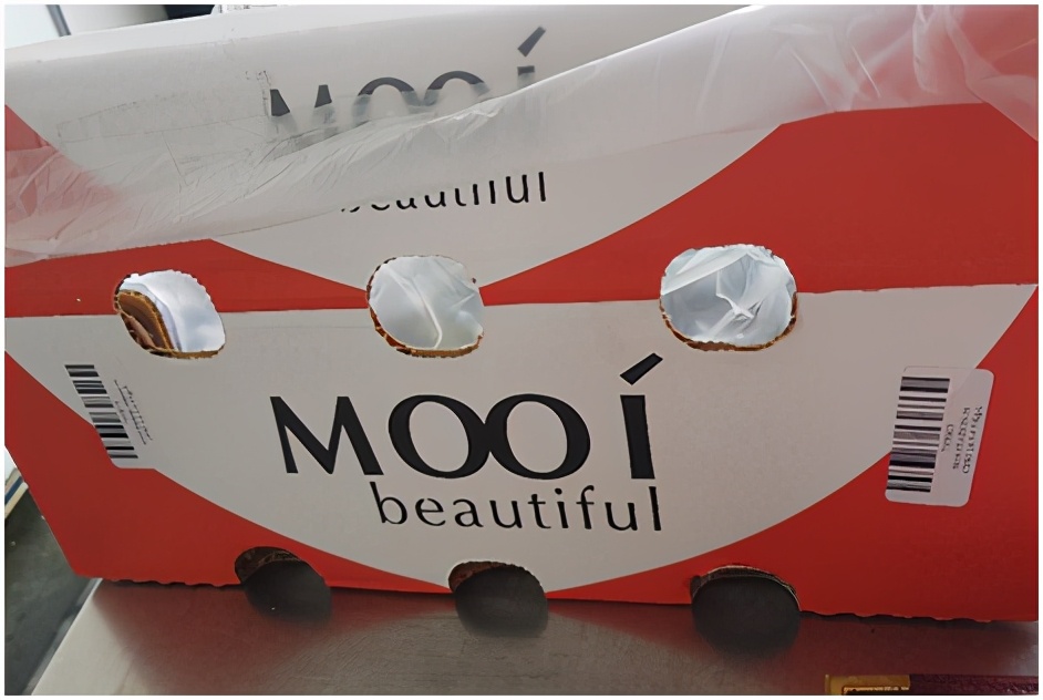 提子品种和介绍 (提子的品种都有哪些)