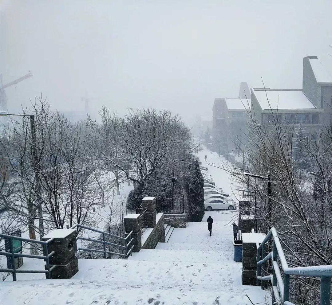 辽宁省民办大学（二）大连东软信息学院