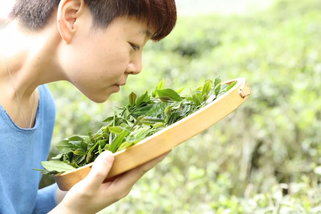 看了这40位生活美学家的创造，心顿时亮了！西安人年度最佳收藏贴