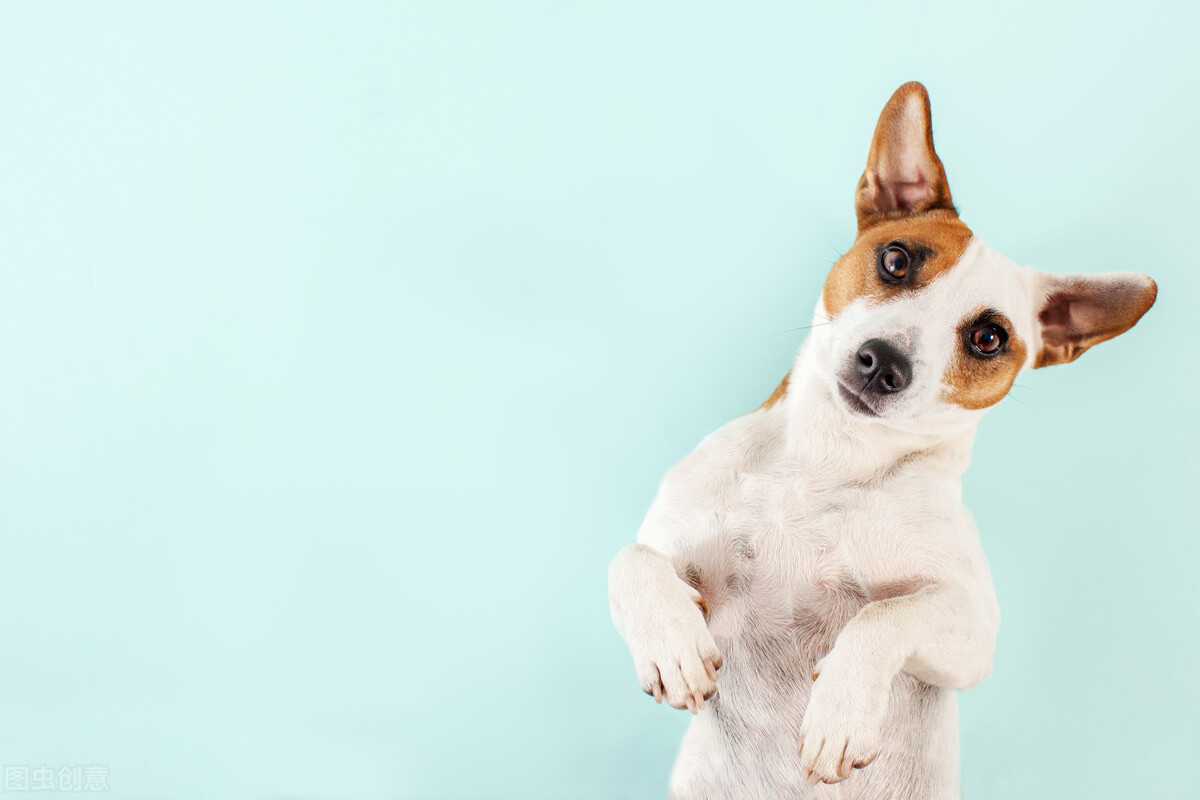 每一位宝贝的终极顽固分子“皮肤病”