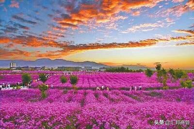 城运巨变，为什么是金昌？