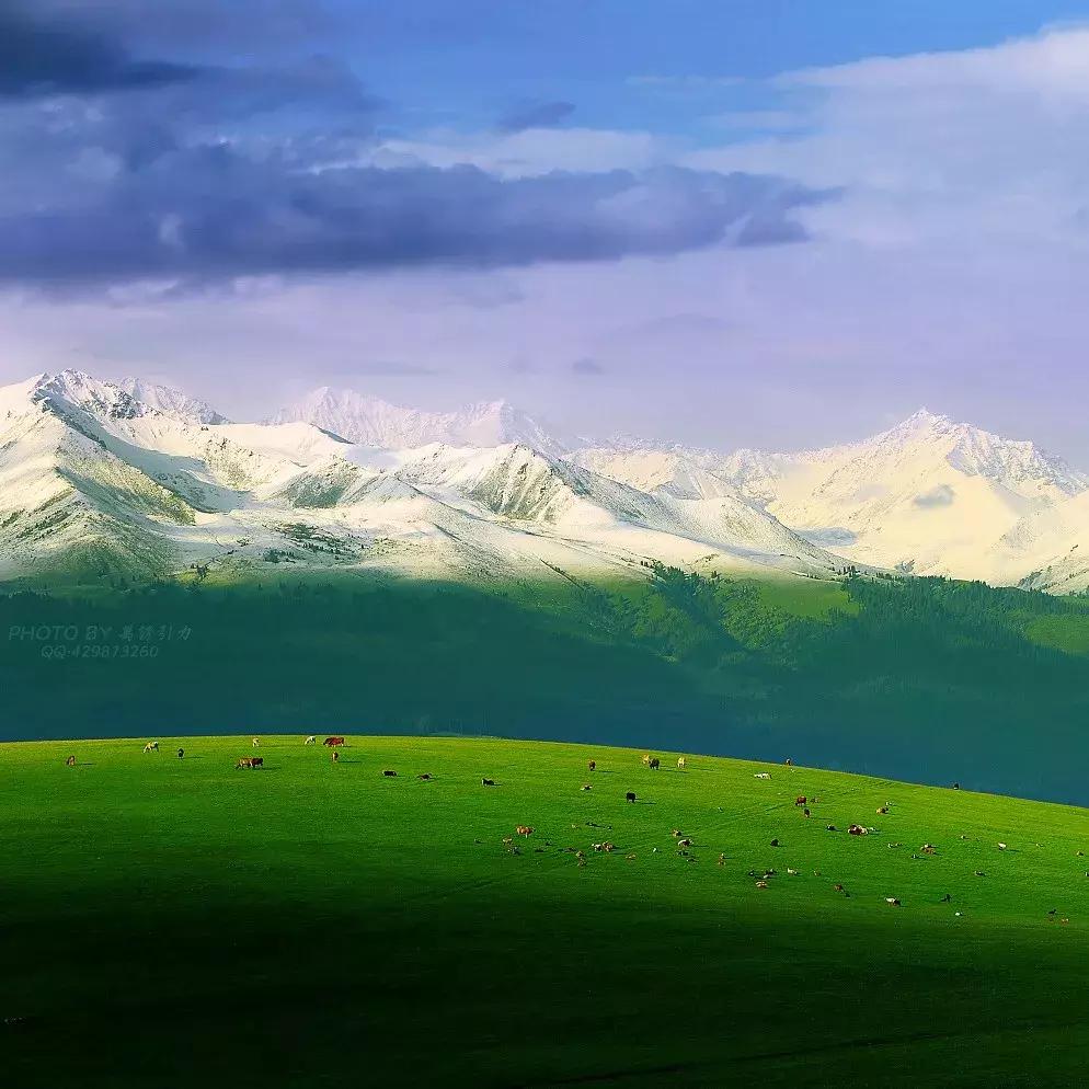 新疆的天堂在哪,新疆人间天堂在哪