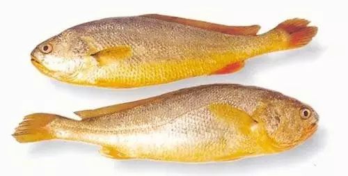 醴陵市海鲜收藏排行榜,海鲜礼盒收藏价格表图