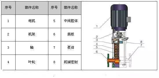 地泵基础知识讲解视频,泵的基础知识课件