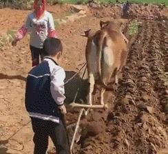 开心一刻gif搞笑动图,搞笑gif段子看起来能量满满