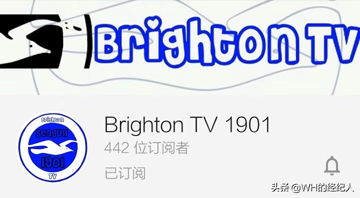 英超球迷数,英超20球队