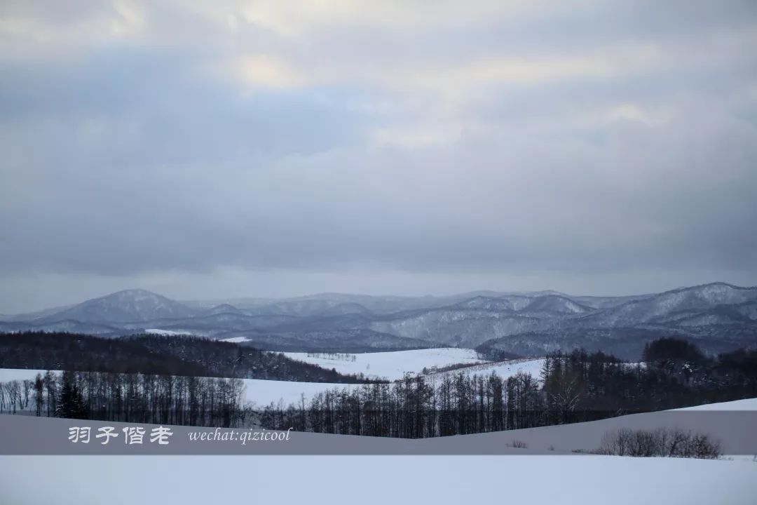 老实说,这一趟北海道就是为了拍好看的照片去的