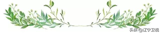 法库在哪儿？没来过好遗憾！乐游辽宁不虚此行