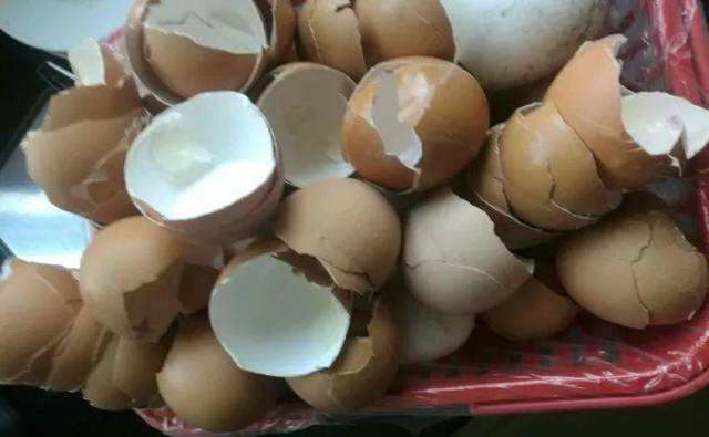 喝苏打水可以缓解反酸吗,喝苏打水能治疗胃反酸吗