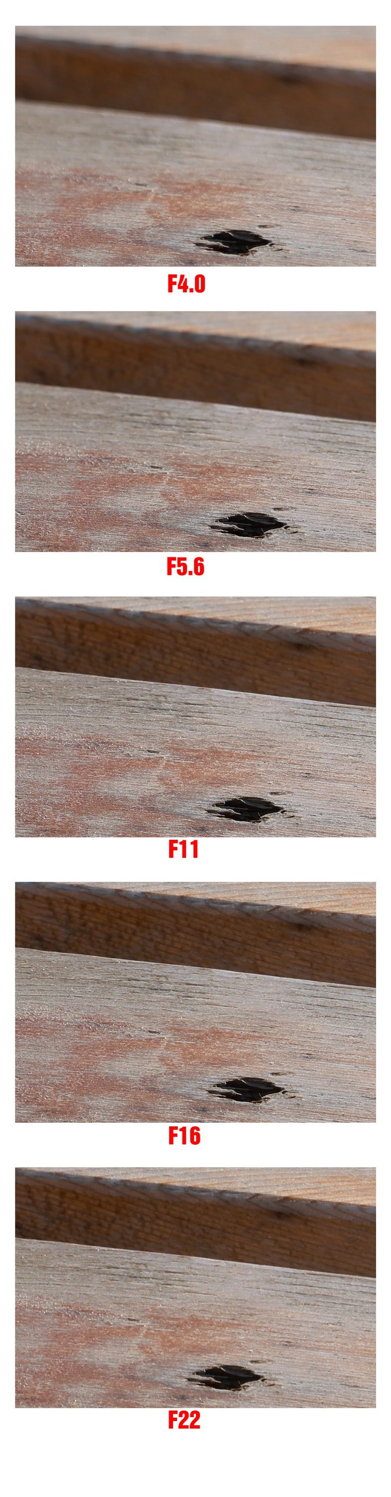 史上最轻便长焦利器佳能RF70-200mmF4L镜头评测