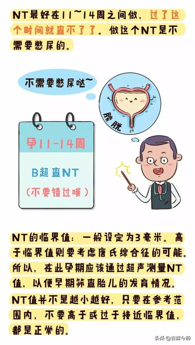 一分钟看懂孕检b超图,一秒教你看懂孕检化验单
