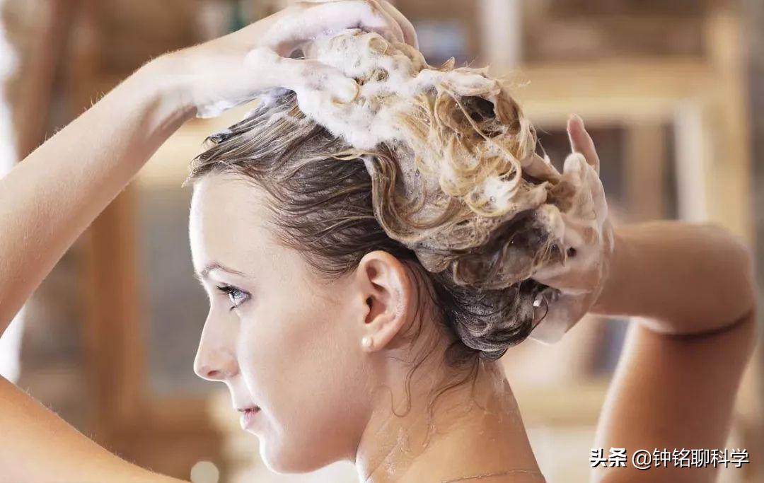 为什么虱子从21世纪就消失了,人类虱子的进化史