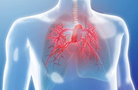 每个人身上都有很多痣么,每个人都有一颗痣好不好