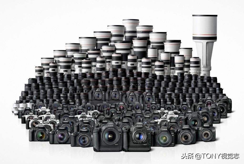 尼康佳能新手相机推荐,佳能和尼康入门级单反推荐