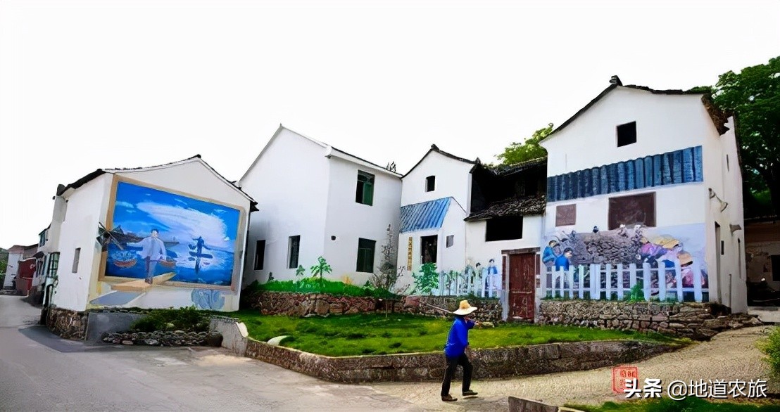 看她如何从砂砾到宝珠，实现乡村振兴，仅线上销售就达20亿