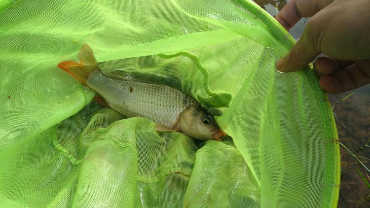 昆明周边露营野钓最佳地方,昆明周边风景优美的野钓地方