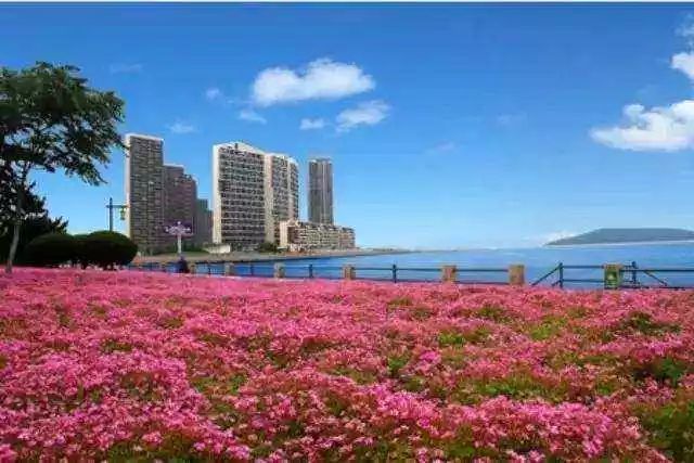 威海在哪里买房比较好,威海70万在哪买房合适