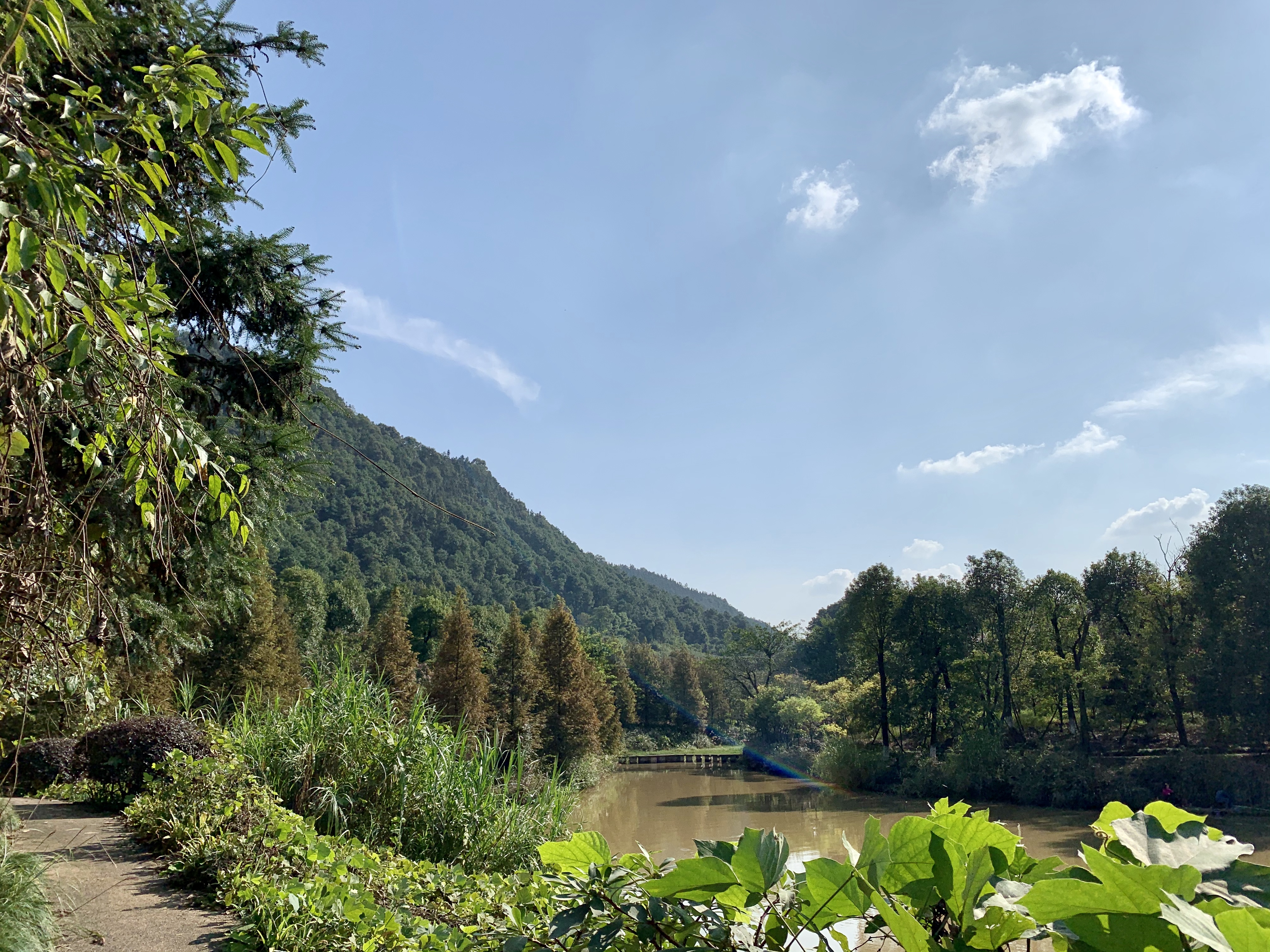 重庆最值得一去的度假民宿,来重庆旅游最适合住的民宿