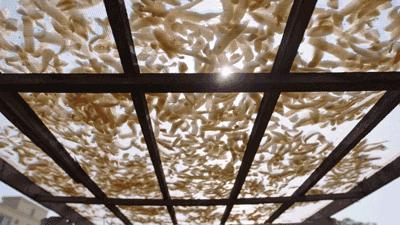 饿着肚子看美食对身体好吗,饿着肚子看别人吃饭的危害