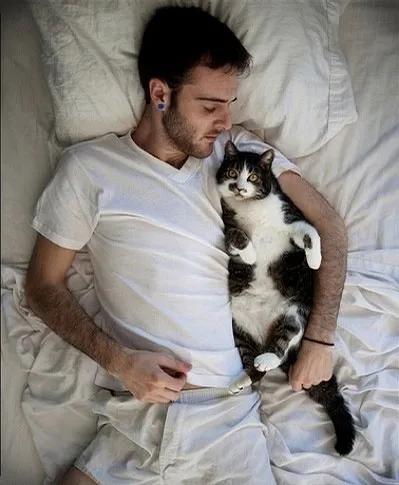 自从有了猫,自从有了猫以后好像变了一个人