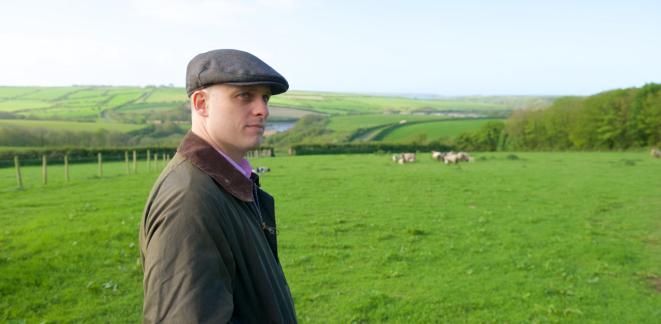 小皮家果泥,小皮果泥老板是谁