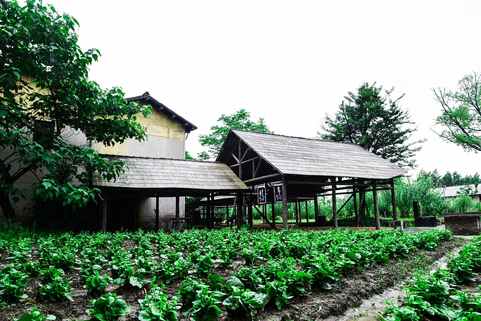 乌村暑期夏令营，吃喝玩乐在这里