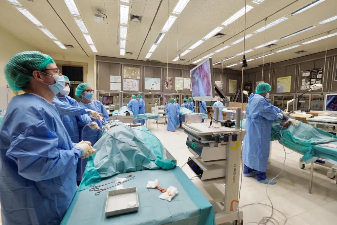 赛诺微医疗浙江科技有限公司,赛诺联合与赛诺微医疗