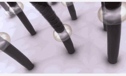 明星袁咏仪代言的防脱洗发水,不输大牌香水的洗发水