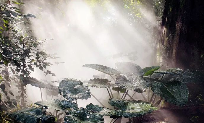 这个夏天一定要去趟厦门,夏天去厦门值得去吗