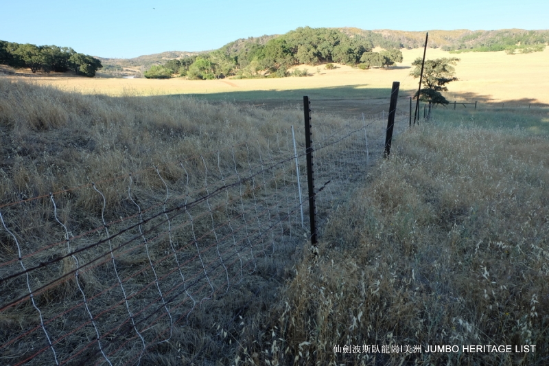 第3045回：人生一世草生一春，来如风雨去似微尘