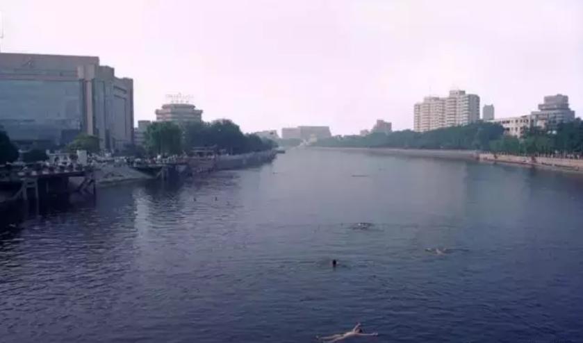 麦兜出生地址,麦兜几岁