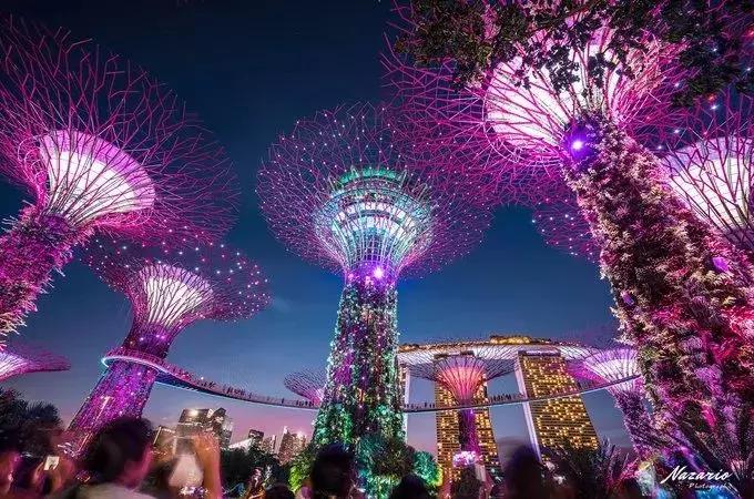 护照签证过期了补办要多少钱,护照签证用完了怎么办