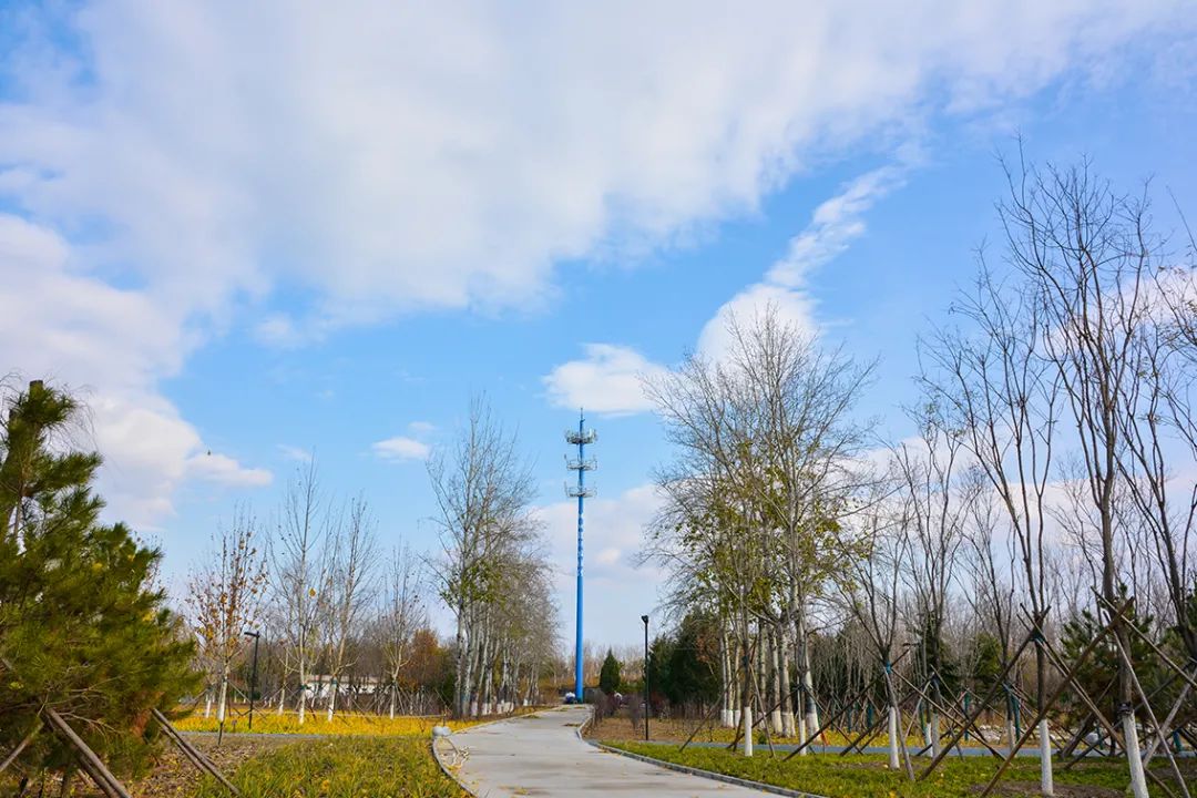 北京新开40个公园在哪里,北京十佳公园