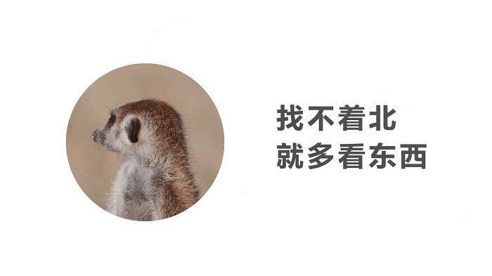 2019年最打动人心的文案,十条扎心热门文案短句建议收藏