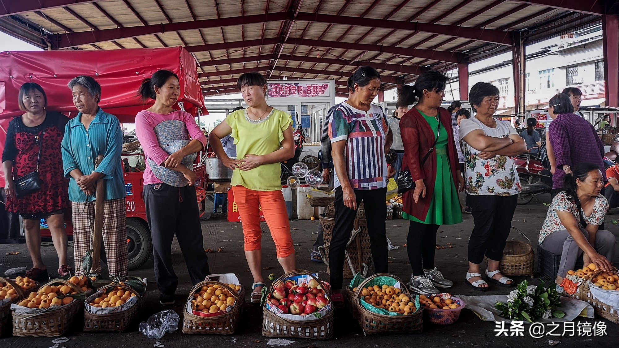 天府新区太平枇杷,成都太平枇杷批发市场