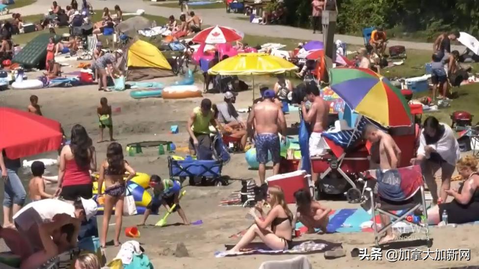 温哥华体感39℃温村人集体热疯印度人表示：太热了想回印度