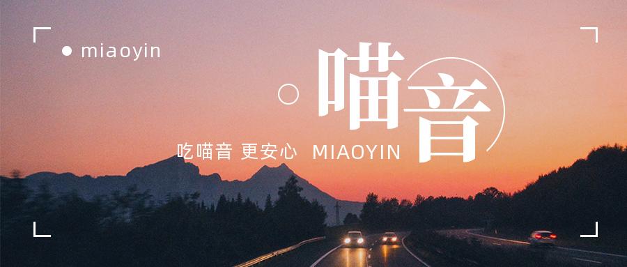 猫咪的驱虫药可以驱什么虫,铲屎官必备驱虫攻略