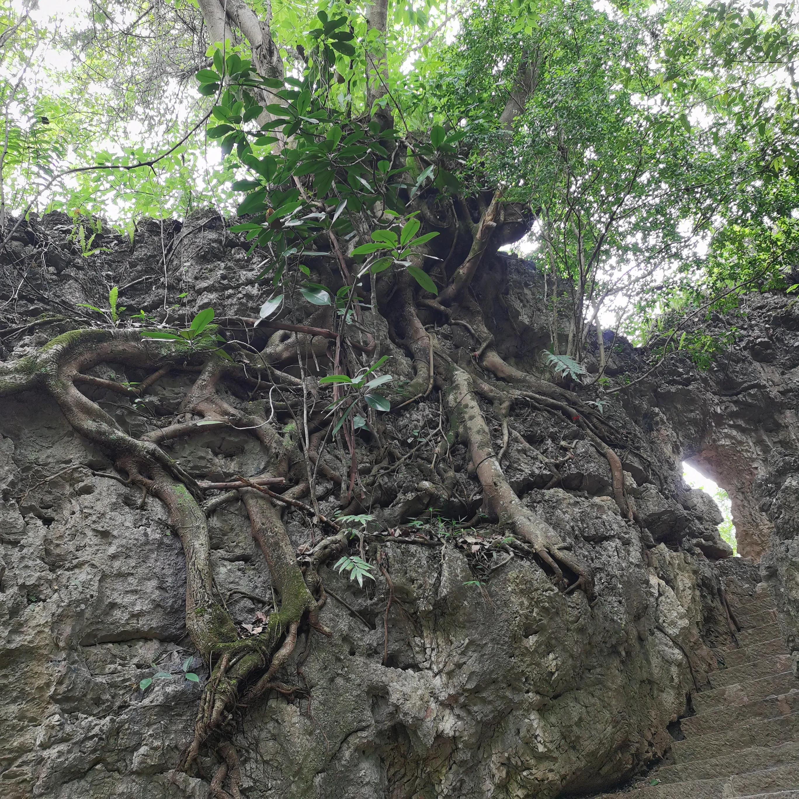 向南方和向北方,登上山顶看美景贵州黄果树瀑布