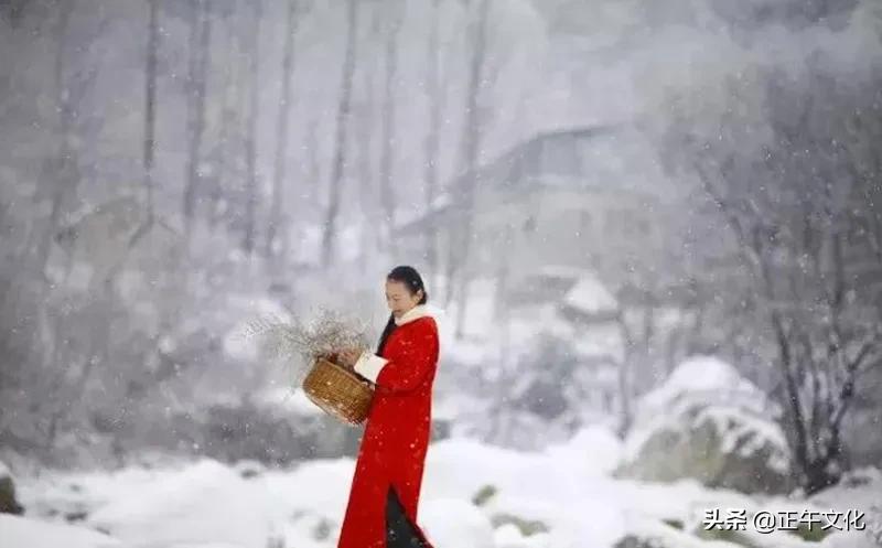 隐居终南山小龙女,一人隐居生活